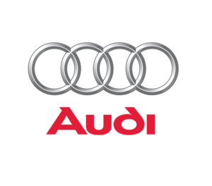2009-12 AUDI Q5 FRONT SUB FRAME (477-50484)